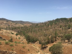 Rooftop terrace view